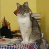 Отзыв от Нелли Родионова